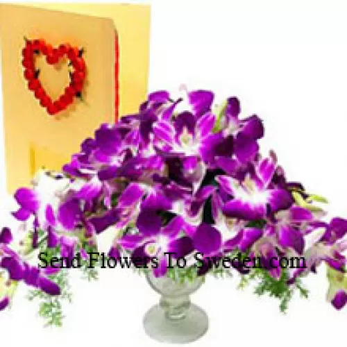 Orchidées dans un vase avec une carte de voeux gratuite (Veuillez noter que les orchidées fournies avec ce produit peuvent ne pas être en fleurs)