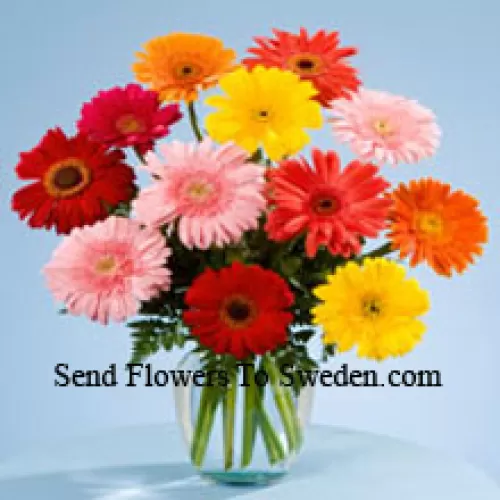 11 Mixed Colored Gerberas In A Vase